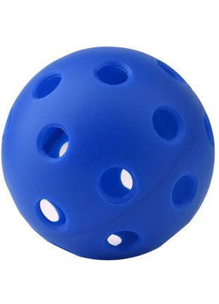 Outdoor Pickleball Set with 40 and 26 Hole Balls