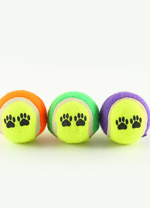 Dog Fetch Training Throw Toy Outdoor