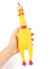 31cm
