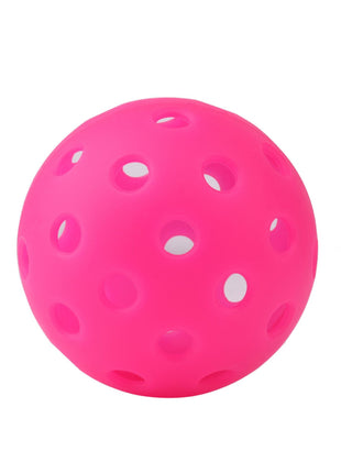 Outdoor Pickleball Set with 40 and 26 Hole Balls