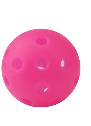 Outdoor Pickleball Set with 40 and 26 Hole Balls
